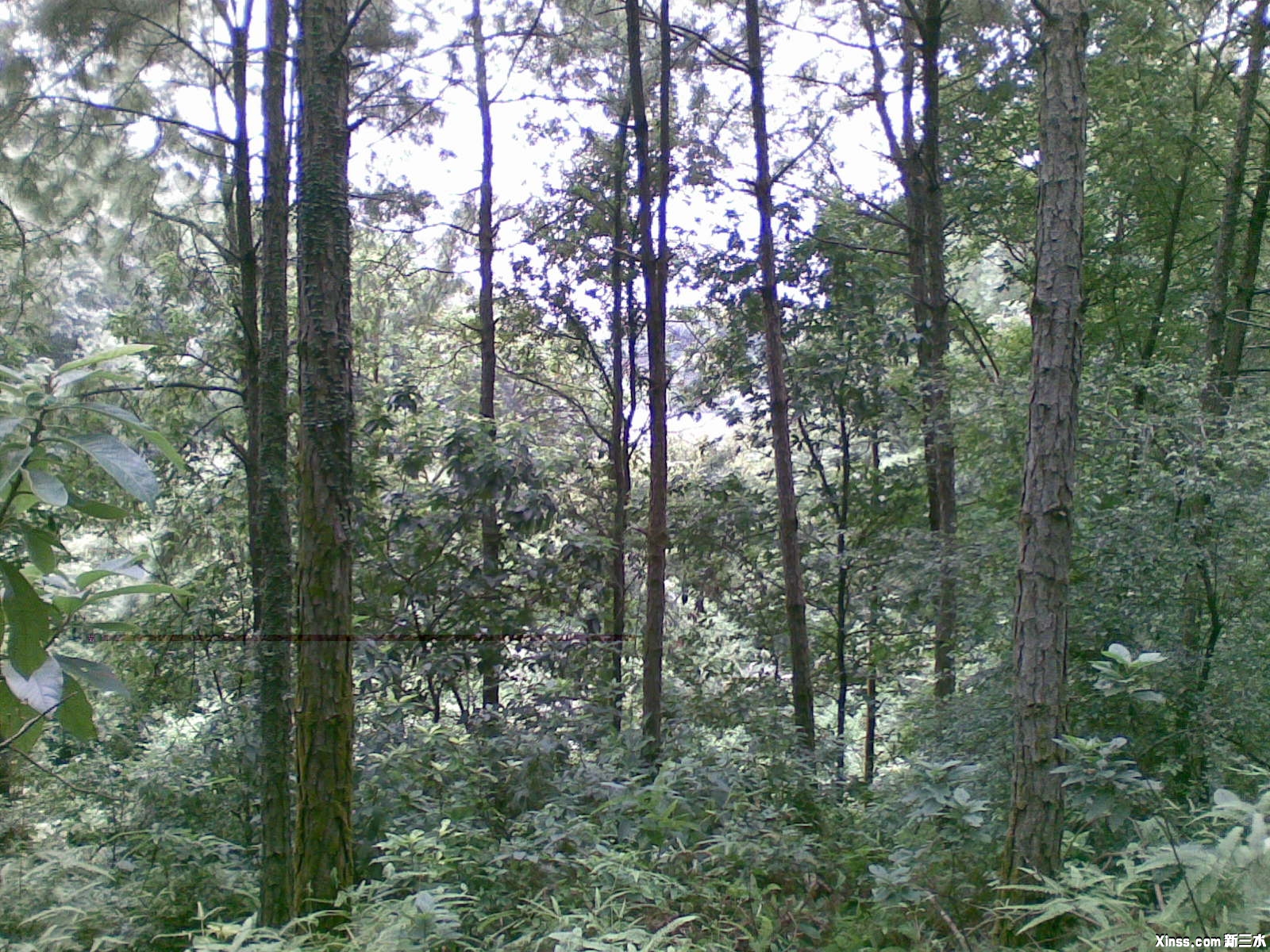 20100824_008.jpg