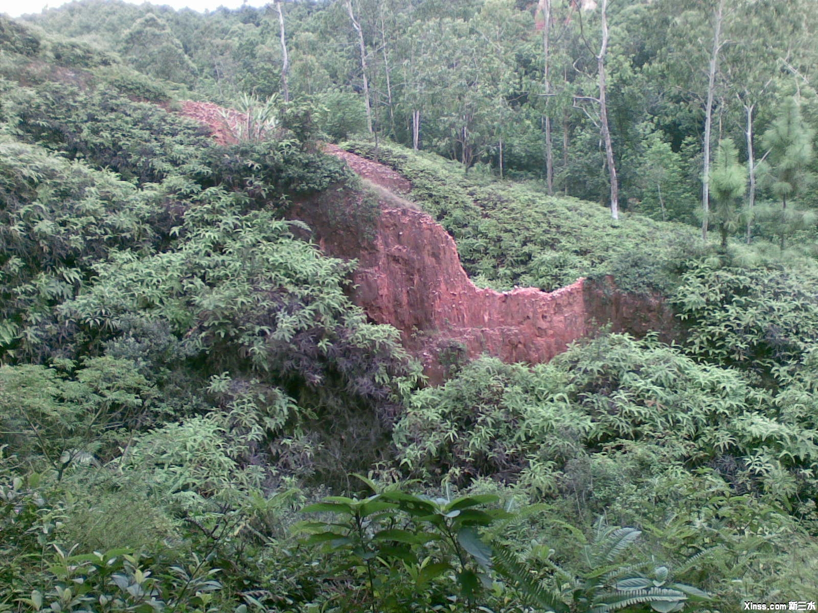 20100824_009.jpg