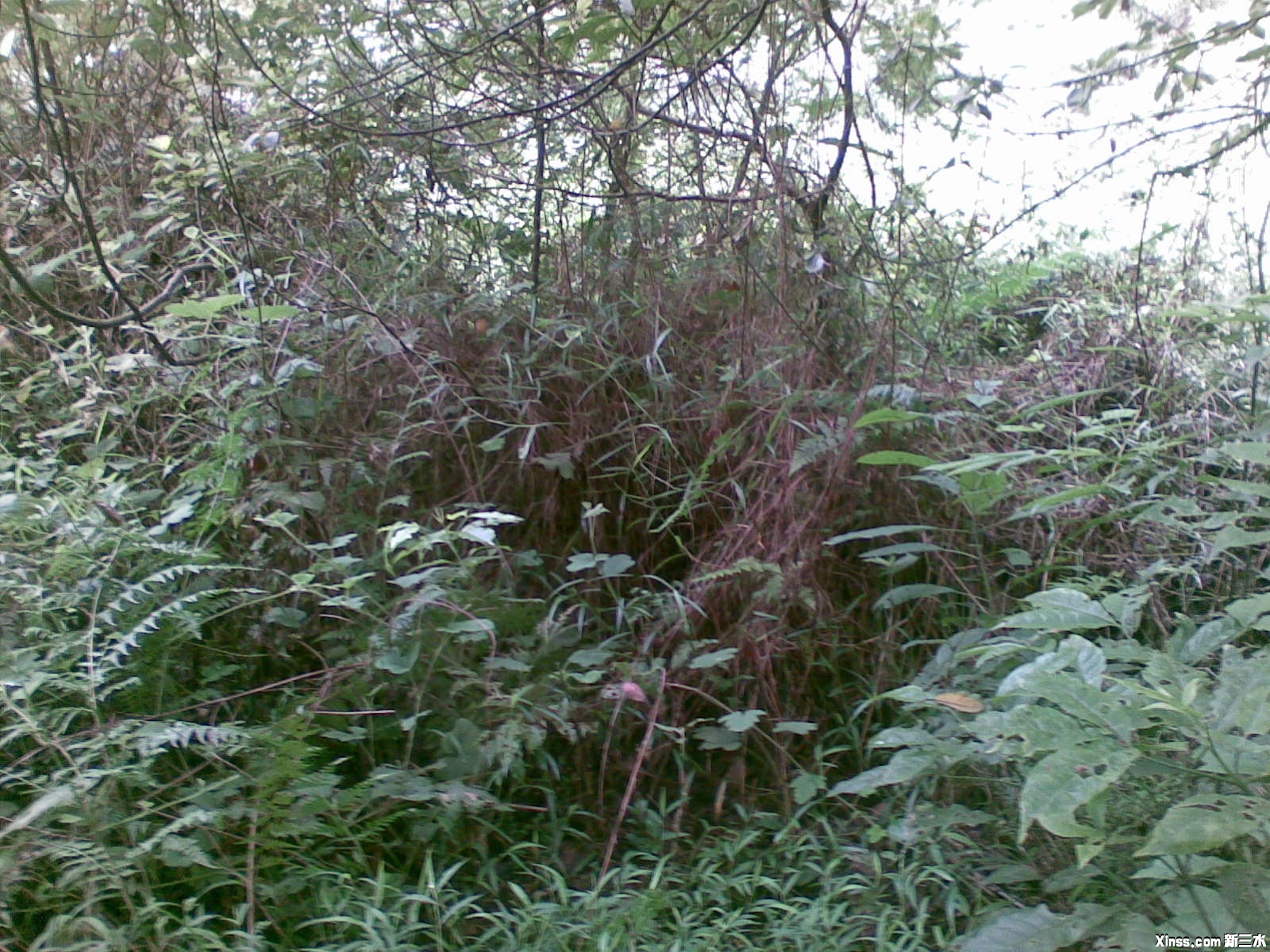 20100824_003.jpg