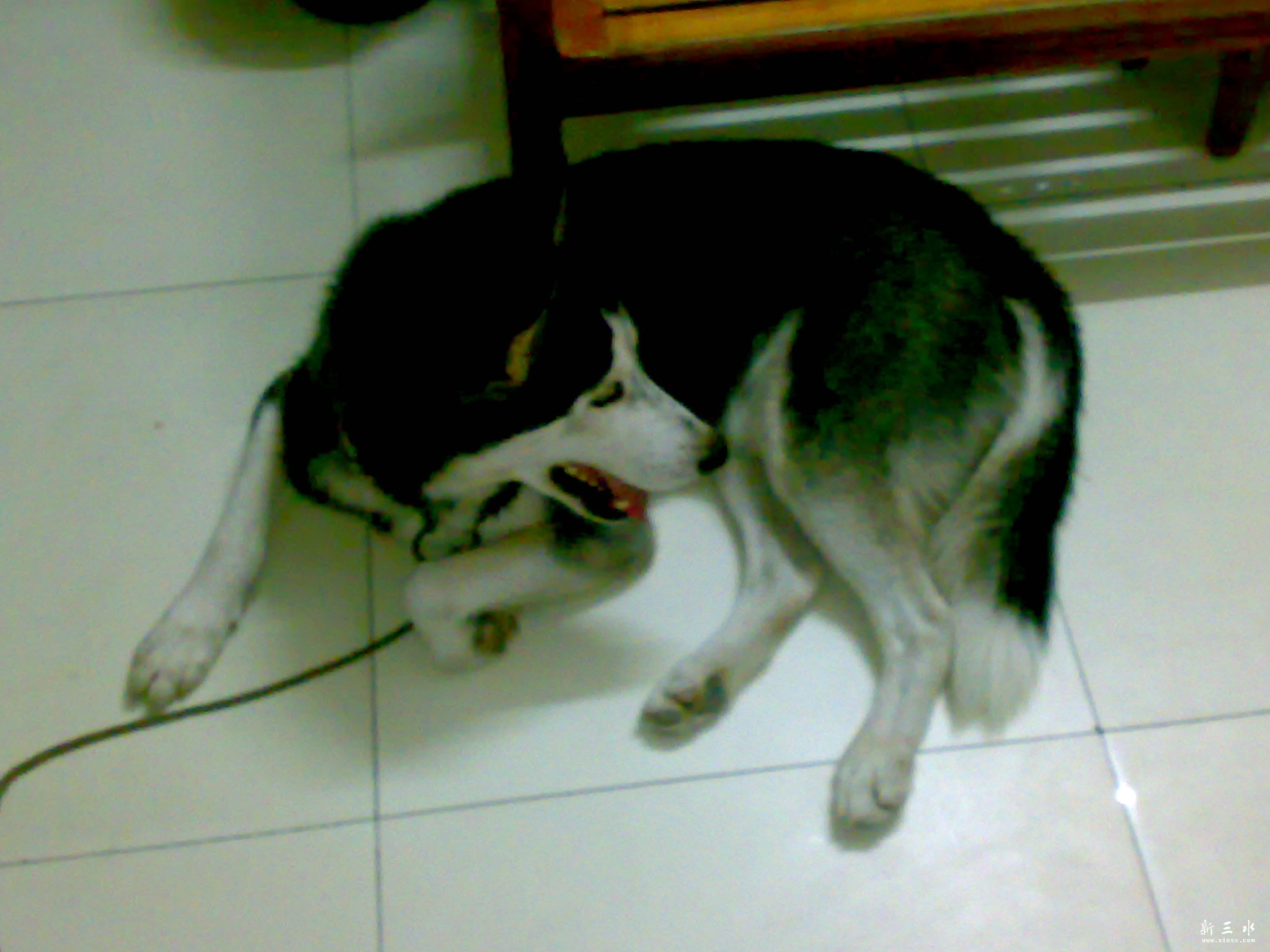 20111015267.jpg