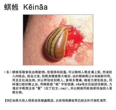 西南方向回家坐高铁三水南站每日近千人