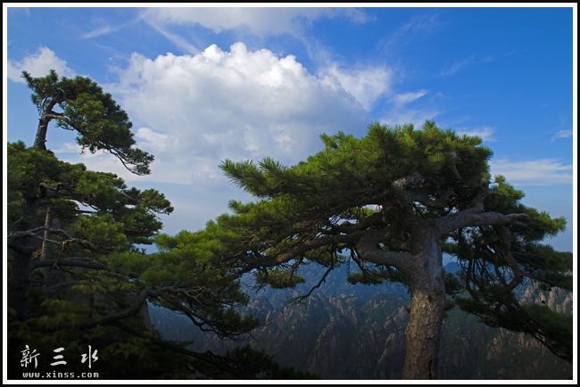 黄山母子