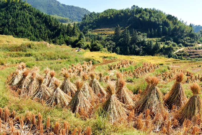 秋游连山，连南