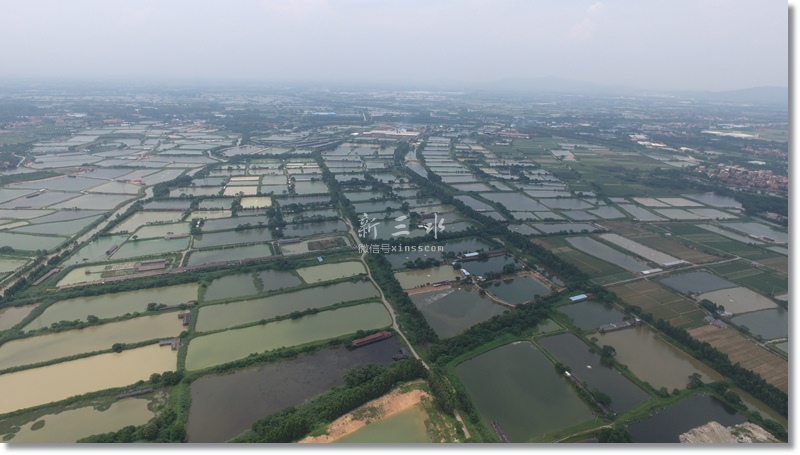 DJI_0236.JPG