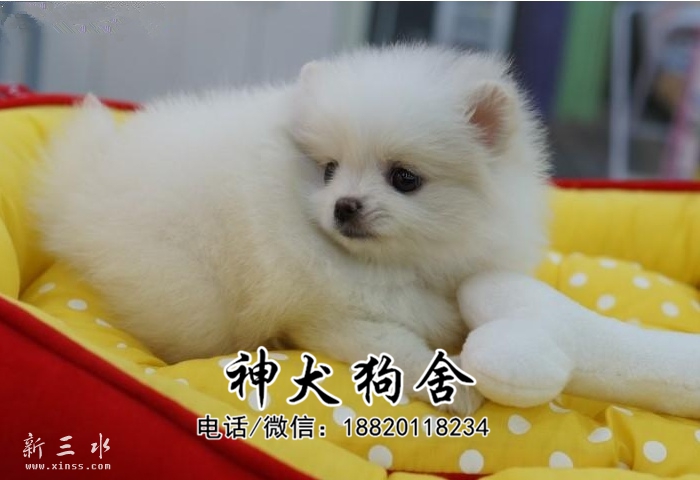 QQ?20150520205502.jpg