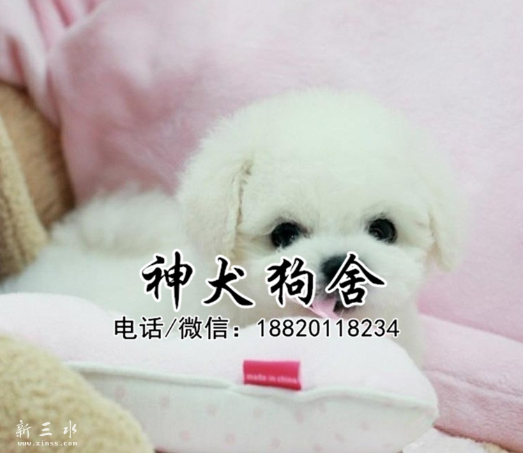 QQ?20150520193757.jpg