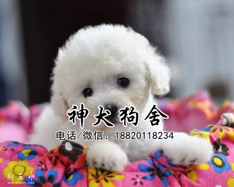 QQ?20150520220432.jpg