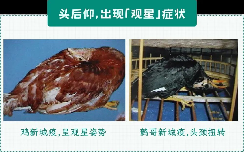 68cb92be5757d849f8520a70ea075d28.jpg
