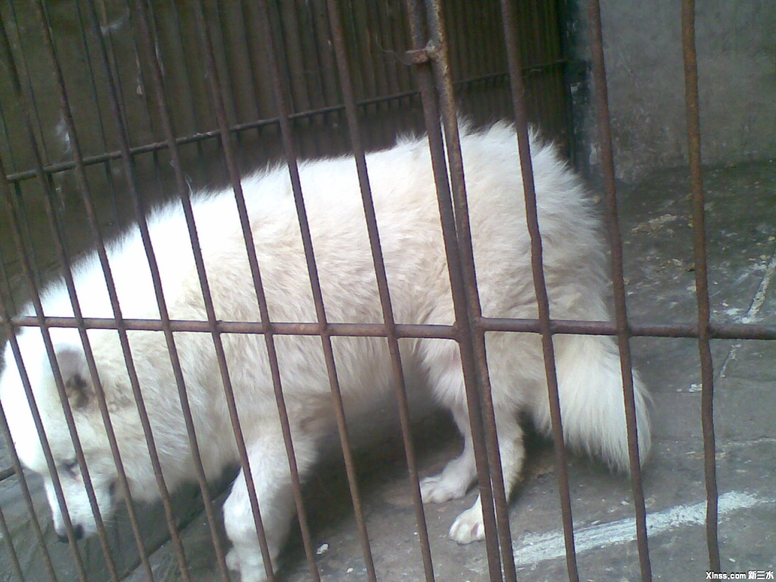 20100608104.jpg