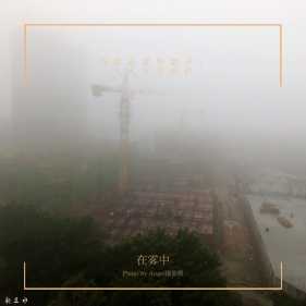 在雾中